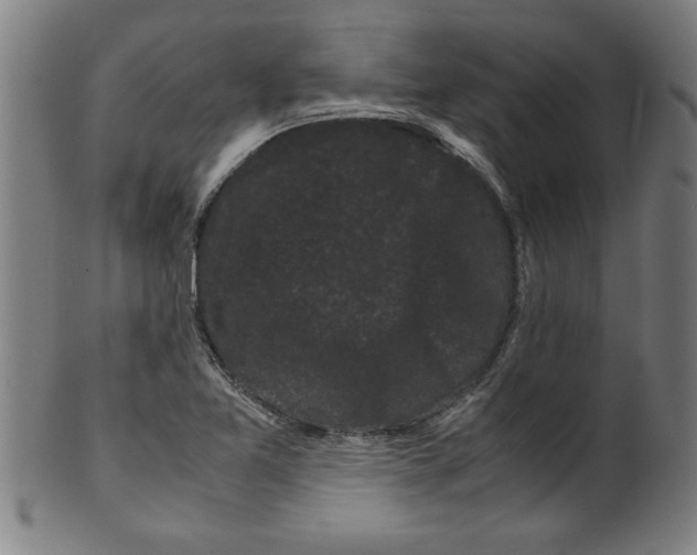 X0000099471365200806061210