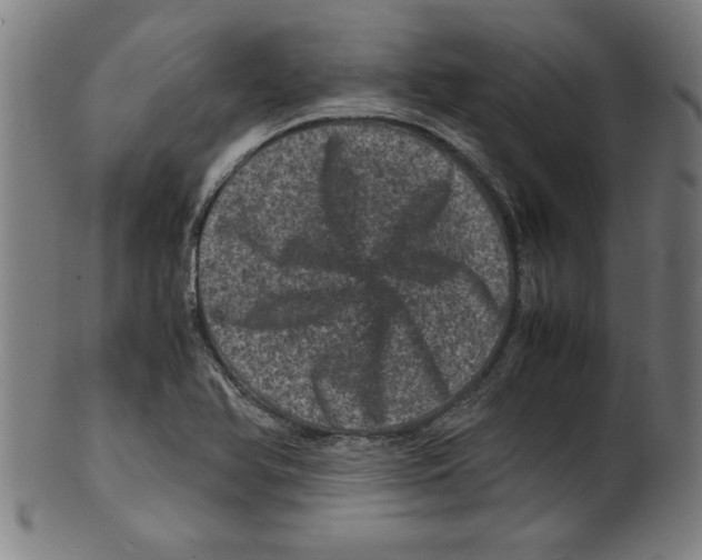 X0000099471366200806061210