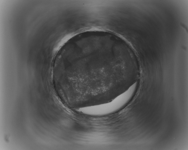 X0000099471367200806061210