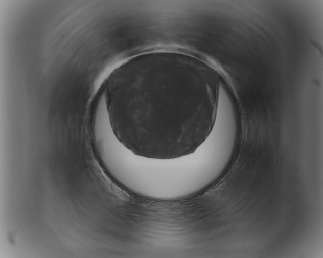 X0000099471368200806061210