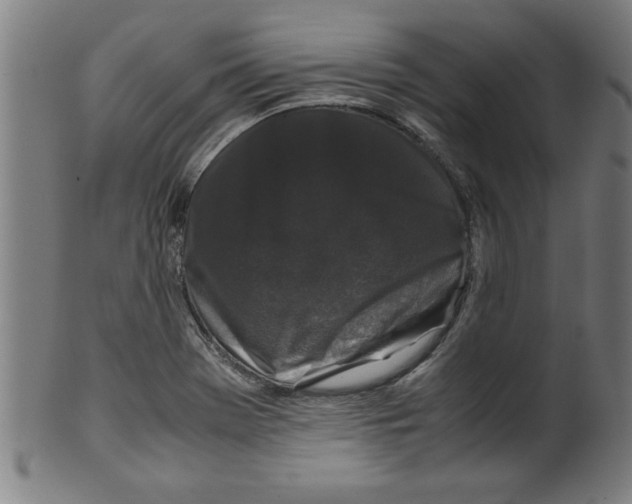 X0000099471369200806061210