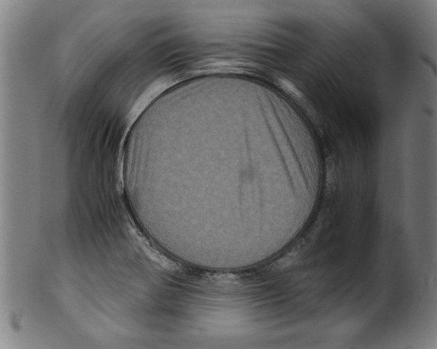 X0000099471370200806061210