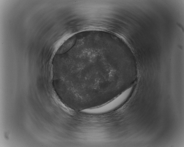 X0000099471371200806061210