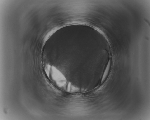 X0000099471373200806061210