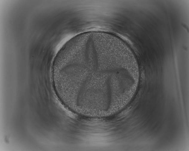 X0000099471375200806061210