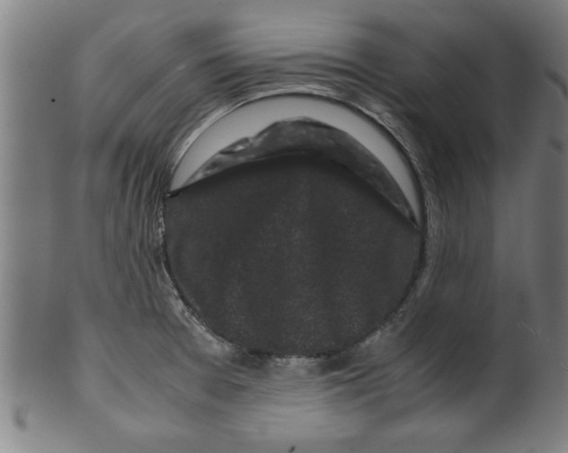 X0000099471377200806061210