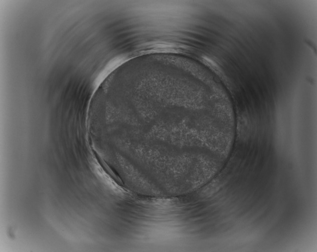 X0000099471378200806061210