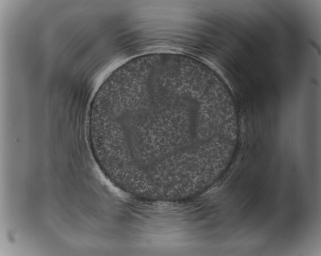 X0000099471379200806061210