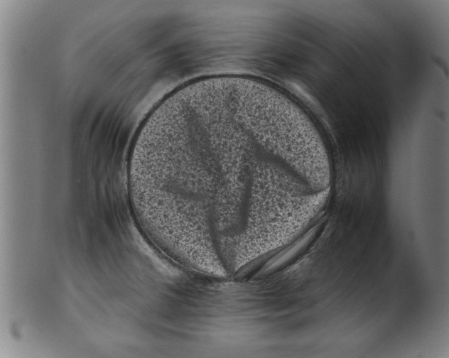 X0000099471380200806061210