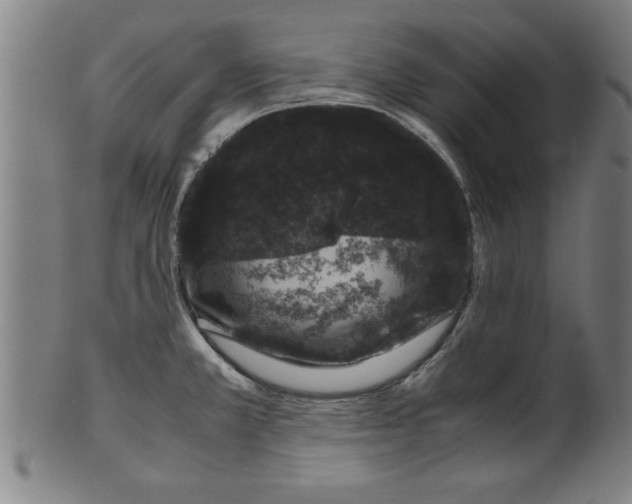 X0000099471381200806061209