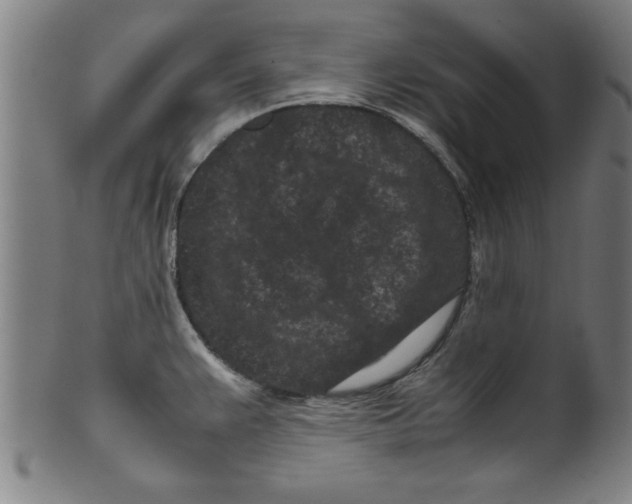 X0000099471383200806061209