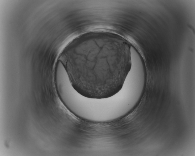 X0000099471384200806061209