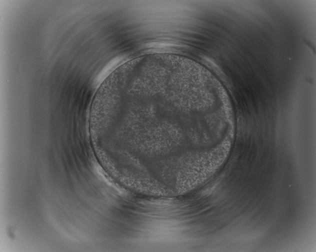 X0000099471386200806061209