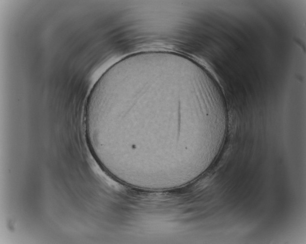 X0000099471387200806061209