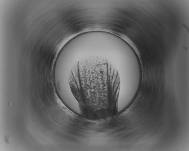 X0000099471388200806061209