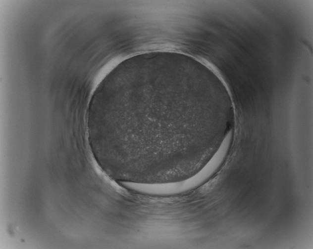 X0000099471389200806061209