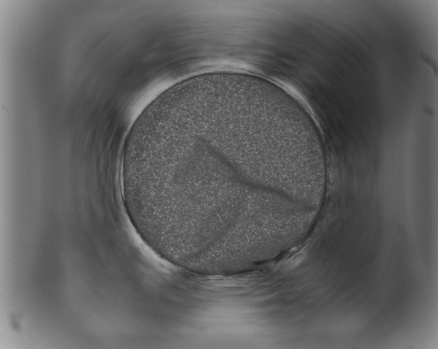 X0000099471391200806061209