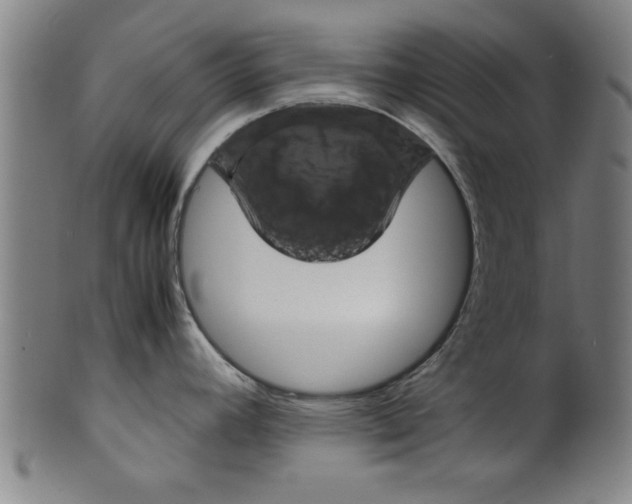 X0000099471392200806061209