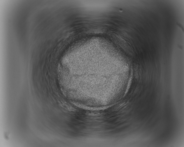 X0000099471393200806061208