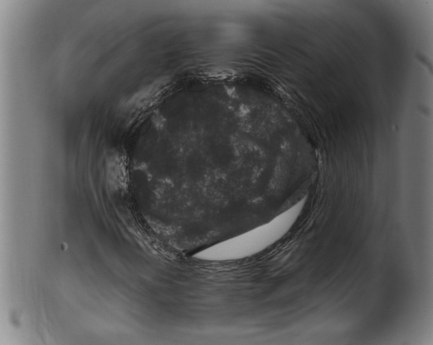 X0000099471394200806061209