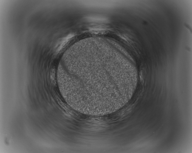 X0000099471396200806061209