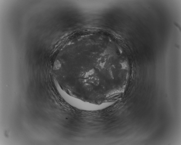 X0000099471397200806061209