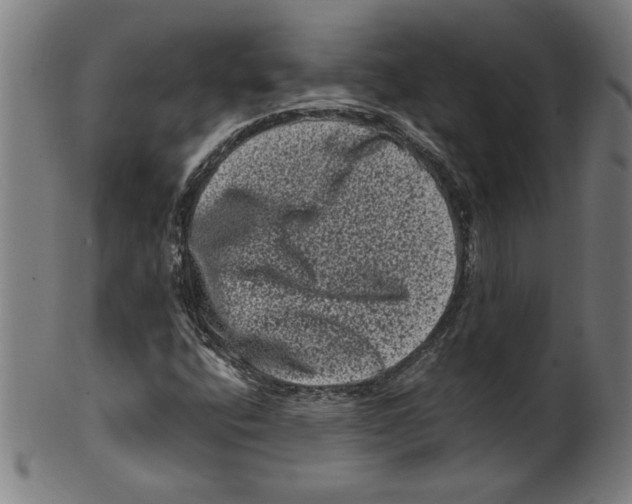 X0000099471400200806061209