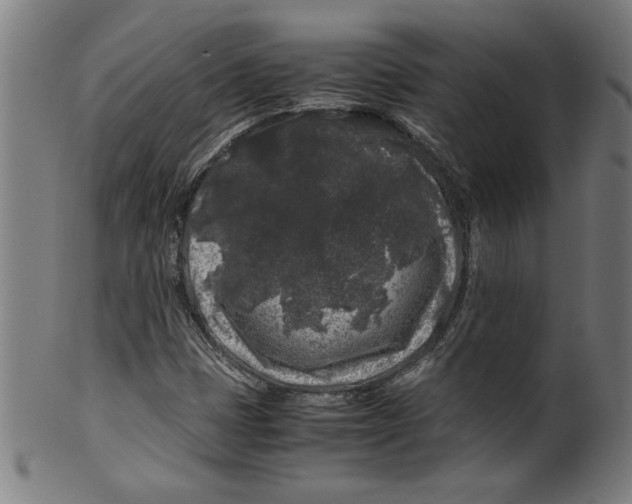 X0000099471401200806061209