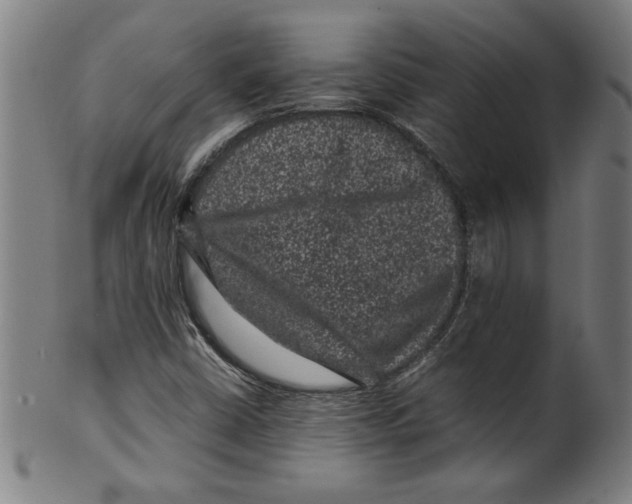 X0000099471402200806061209