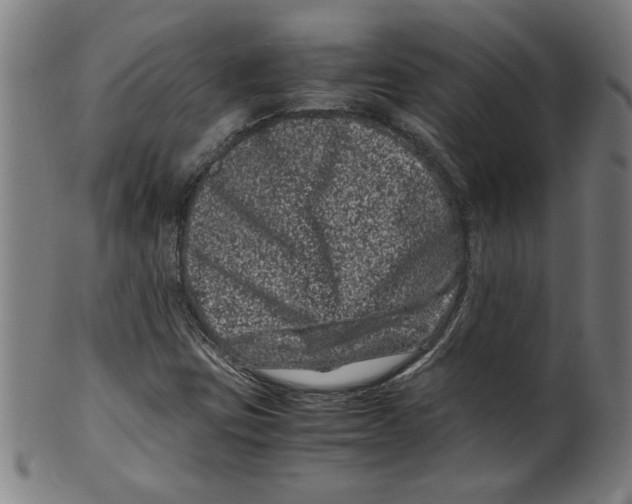 X0000099471403200806061209