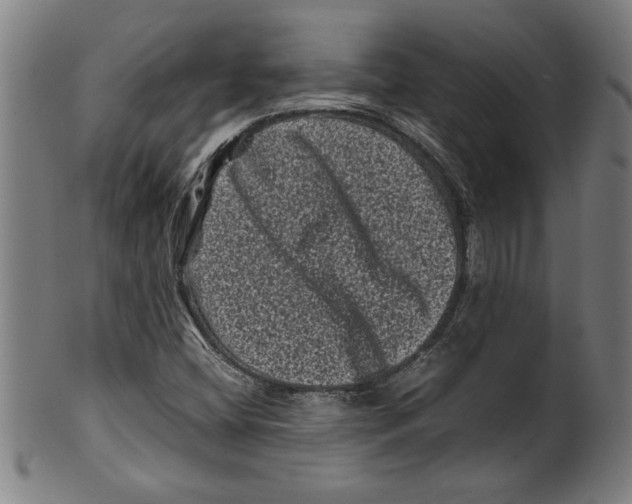 X0000099471404200806061209