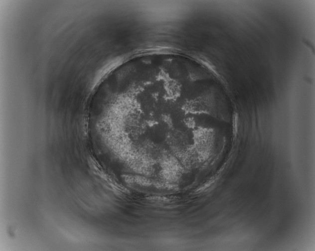 X0000099471405200806061209