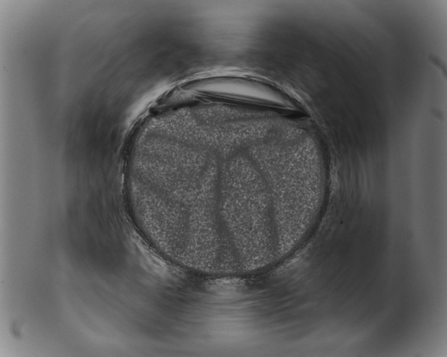 X0000099471406200806061209