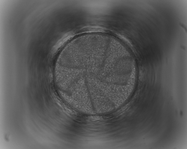 X0000099471407200806061209