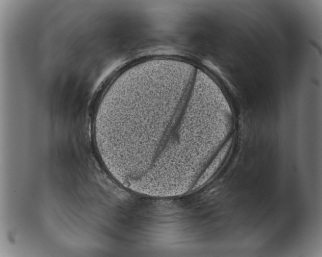 X0000099471408200806061209