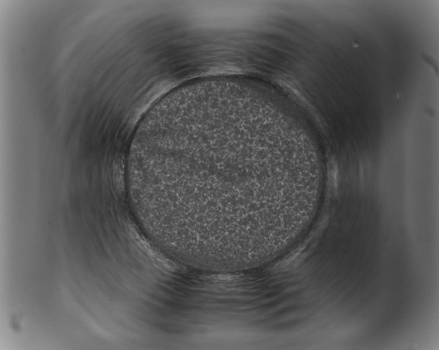 X0000099471409200806061209