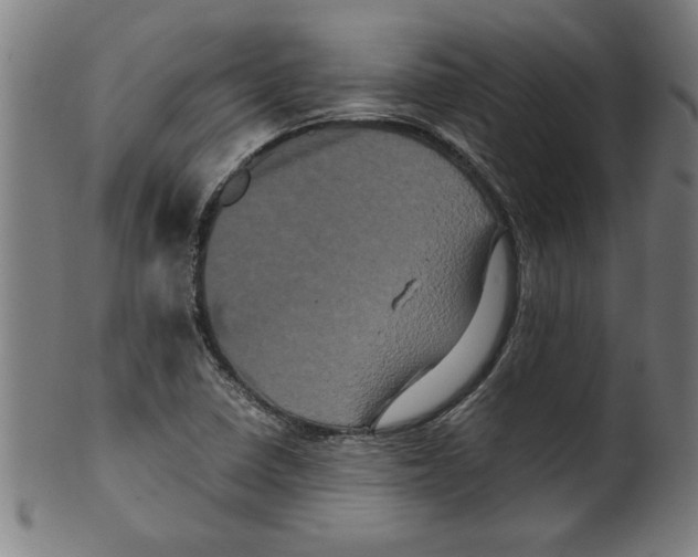 X0000099471410200806061209