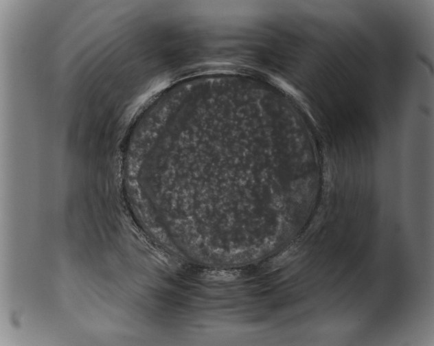 X0000099471411200806061209