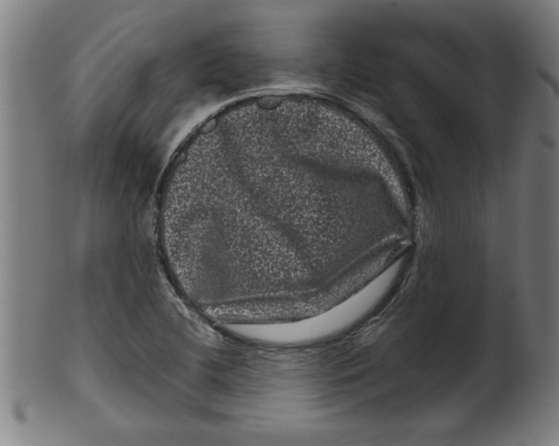 X0000099471412200806061209