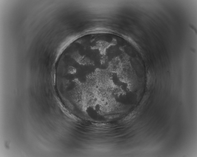 X0000099471413200806061209