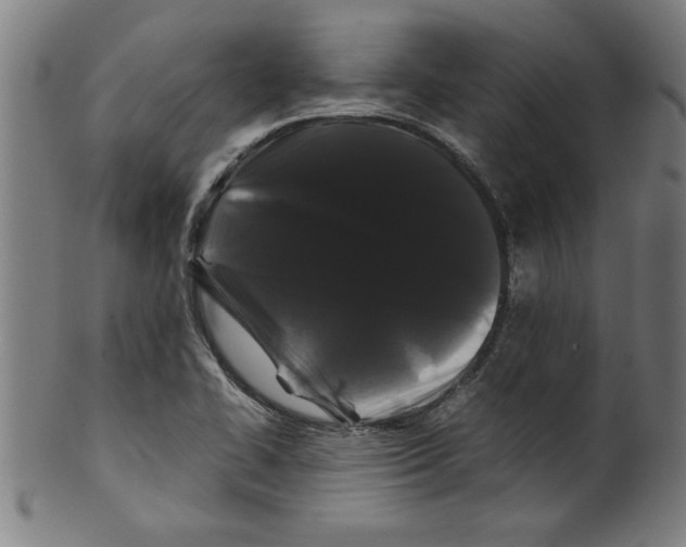 X0000099471414200806061209