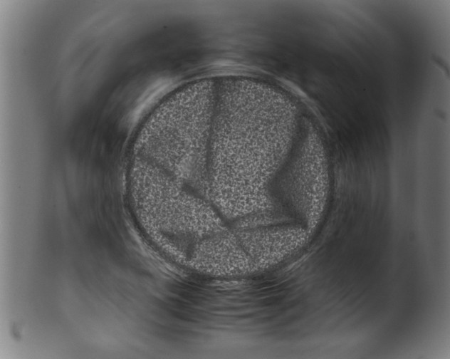 X0000099471415200806061209