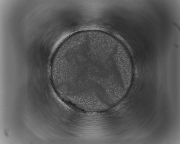 X0000099471416200806061209