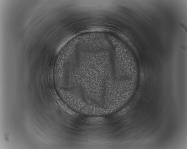 X0000099471417200806061209