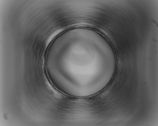 X0000099471418200806061209