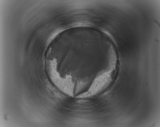 X0000099471419200806061209