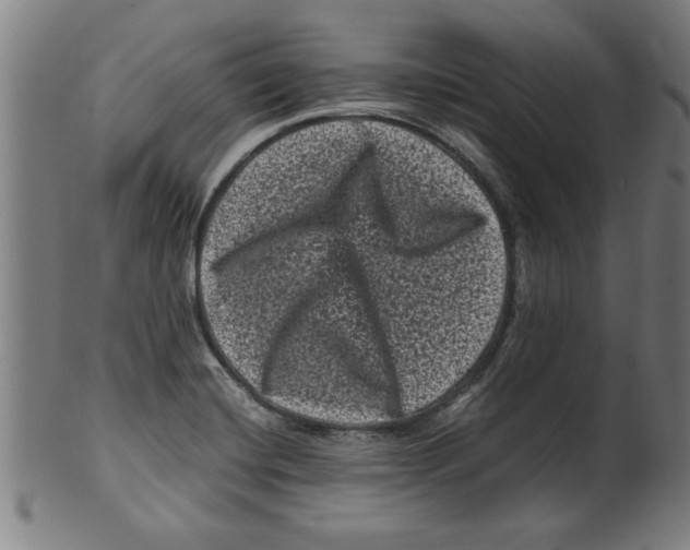 X0000099471420200806061209