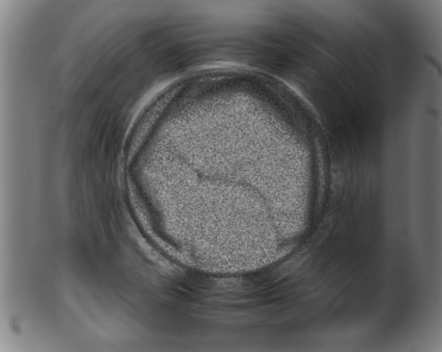 X0000099471421200806061209