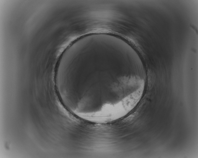 X0000099471422200806061209