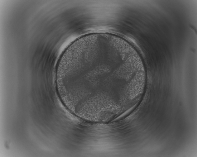 X0000099471424200806061209